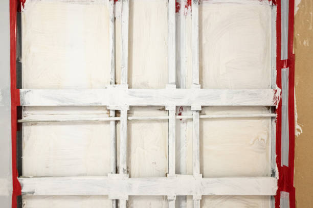 Best Mold Damage Restoration  in South Lake Tahoe, CA